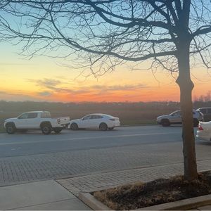 Meet your Posher, Willow